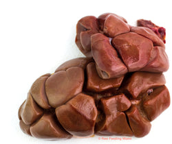 raw feeding miami, Beef Kidney