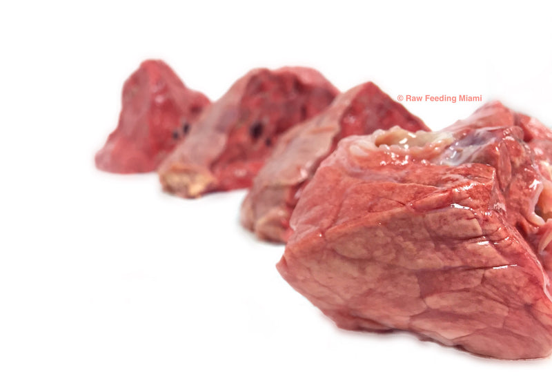 raw feeding miami, Beef Lung