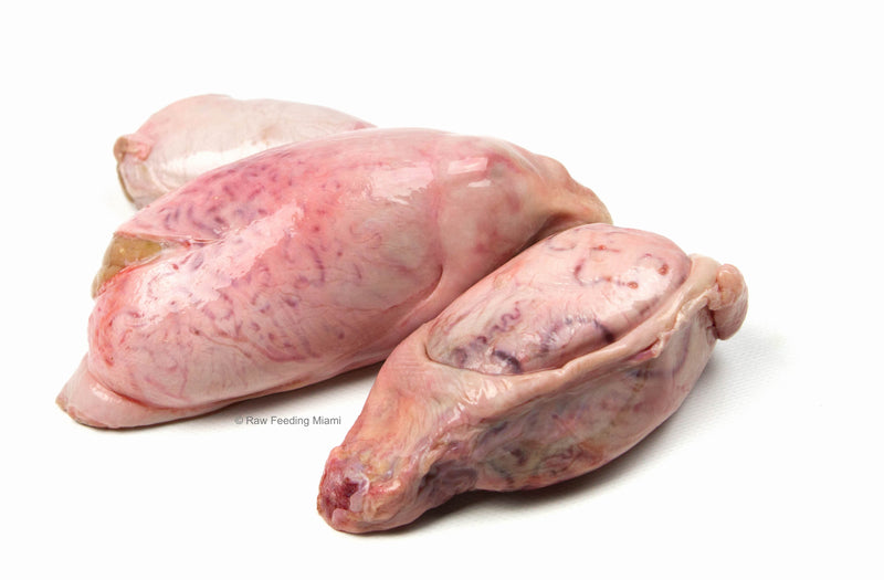 Lamb Testes