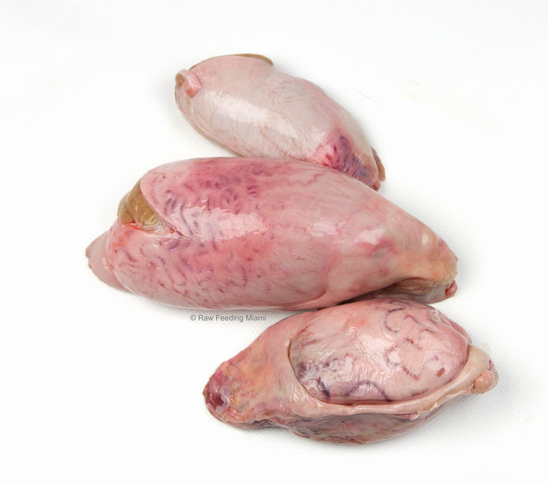 Lamb Testes