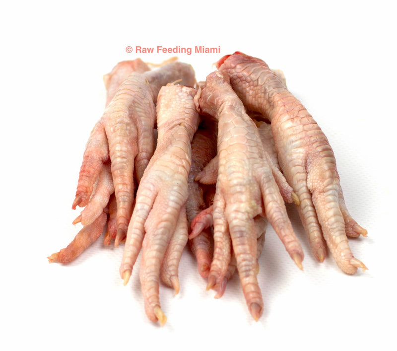 raw feeding miami, Chicken Feet