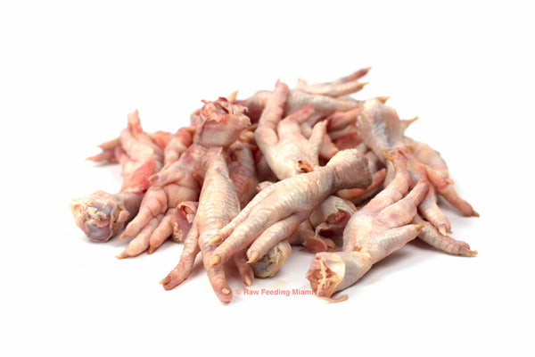 raw feeding miami, Chicken Feet