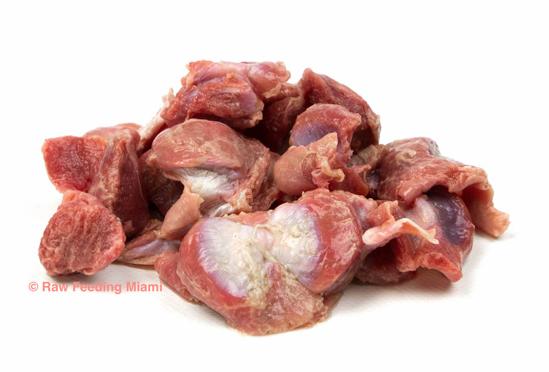 raw feeding miami, Chicken Gizzards