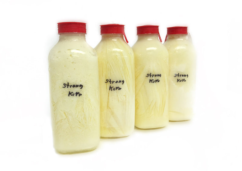 Raw Cow Kefir
