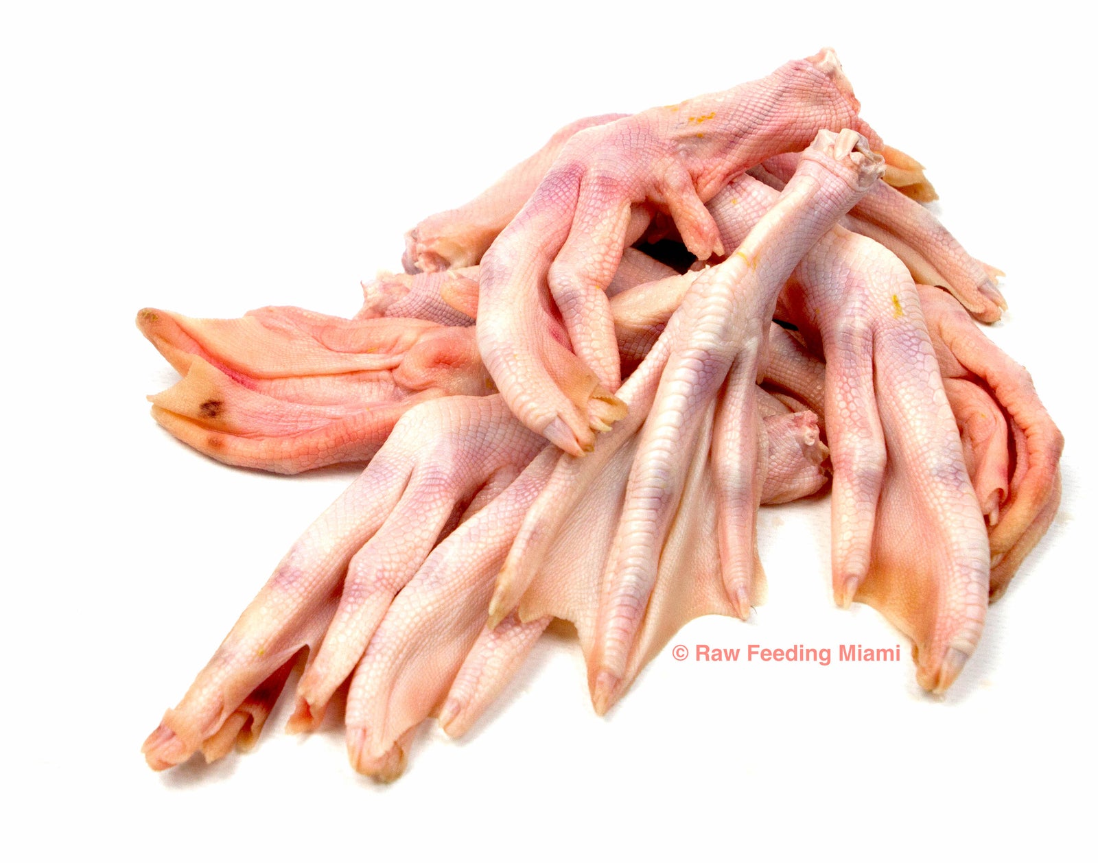 Raw duck meat for dogs hotsell