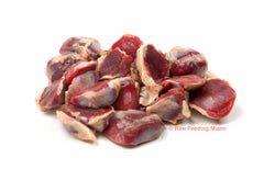 raw feeding miami, Duck Gizzards