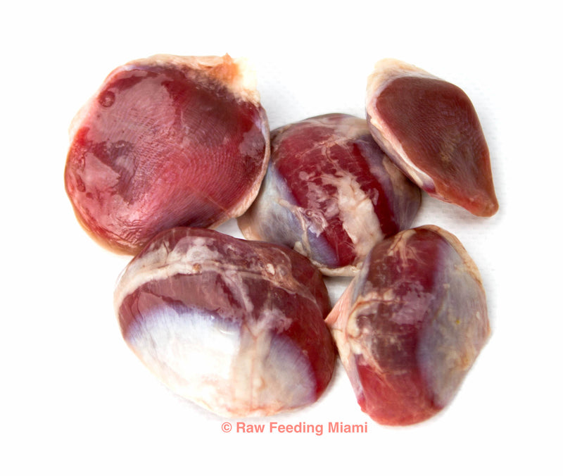 raw feeding miami, Duck Gizzards