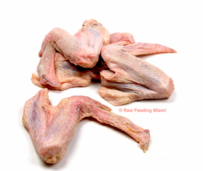 raw feeding miami, Duck Wings