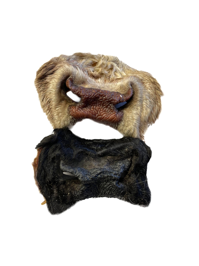 Dehydrated Beef Snouts