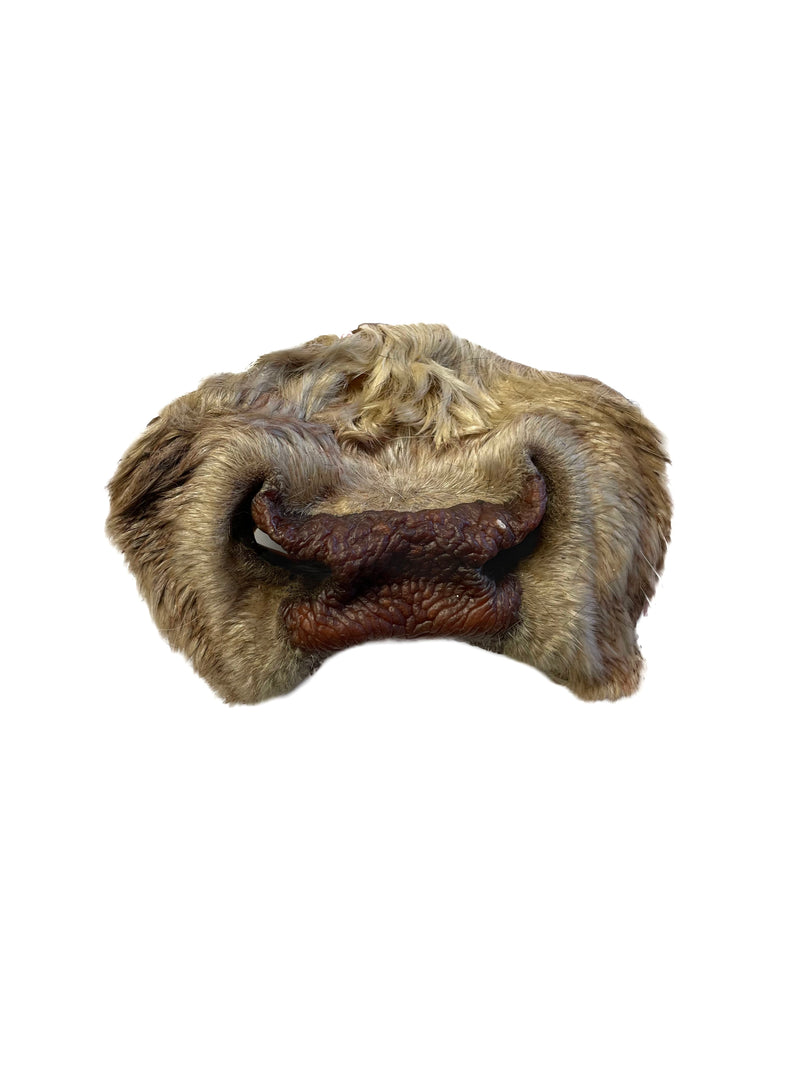 Dehydrated Beef Snouts