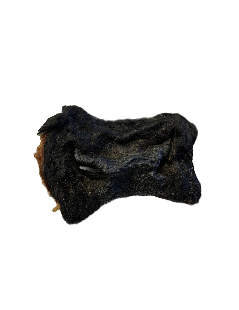 Dehydrated Beef Snouts