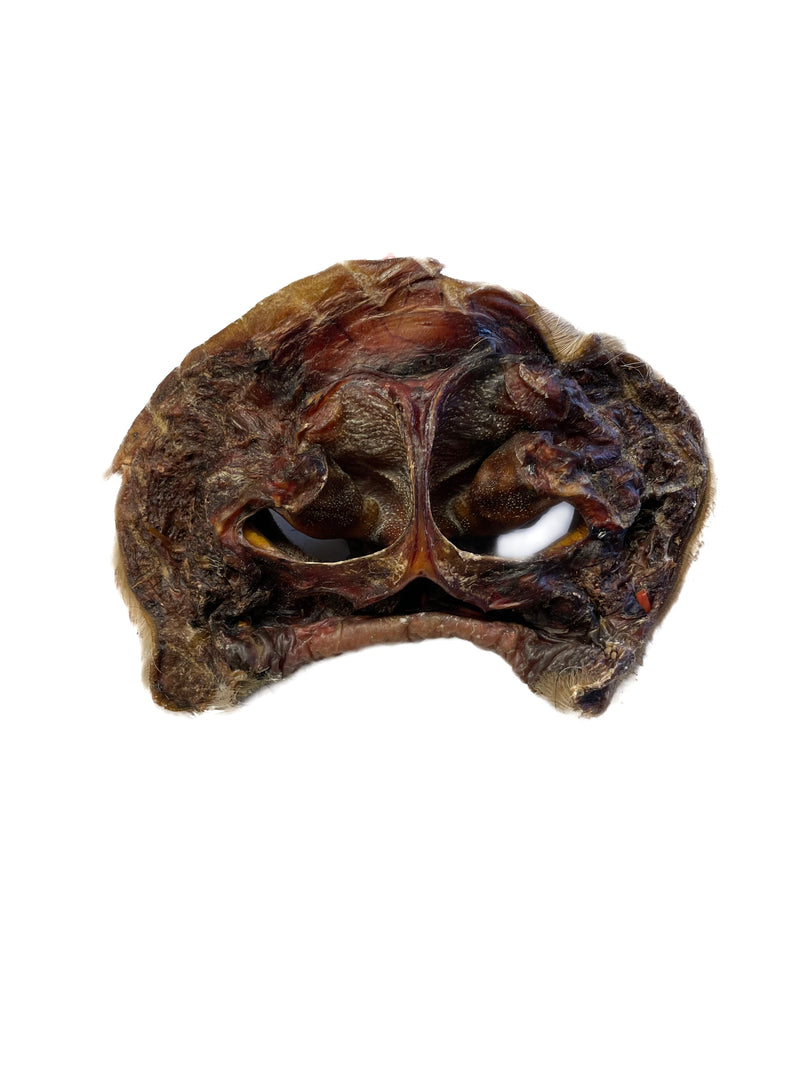 Dehydrated Beef Snout