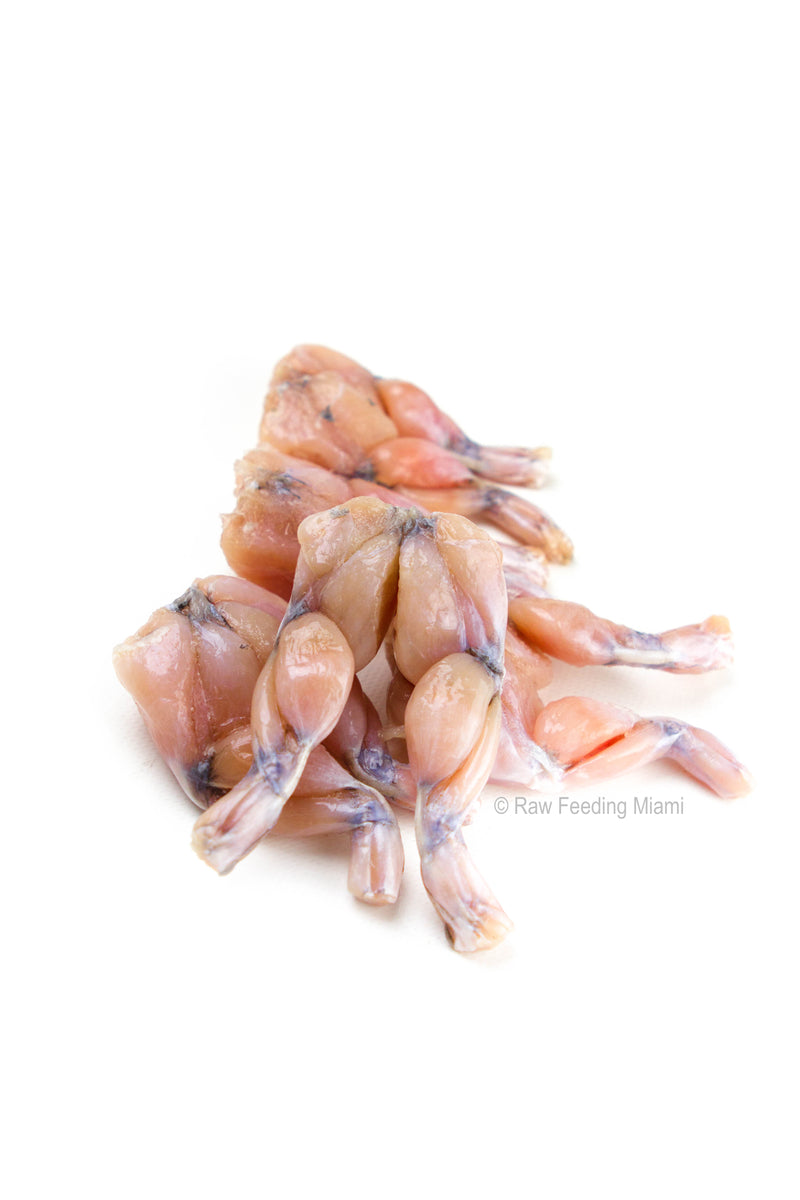 Frog Meat Hand Frog Meat