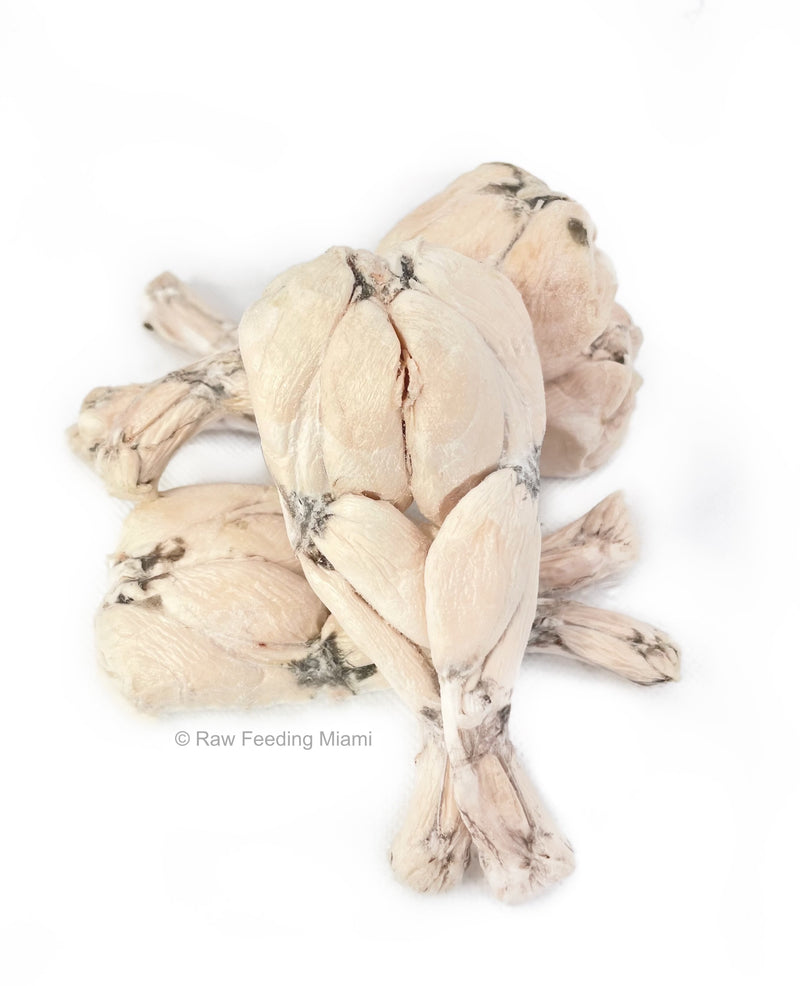 Freeze Dried Frog Legs – Raw Feeding Miami