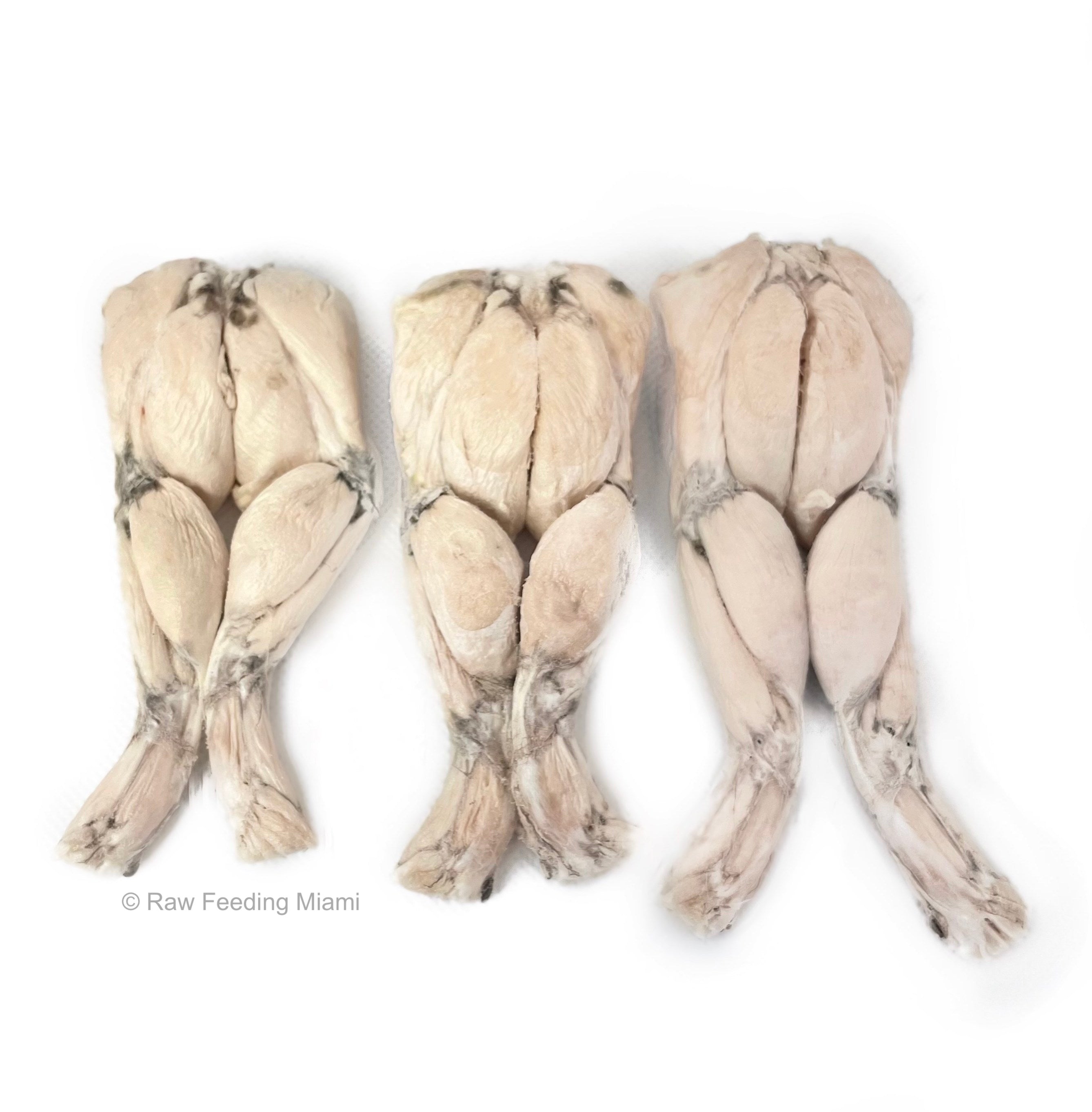Freeze Dried Frog Legs Raw Feeding Miami