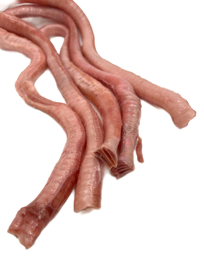 Goose Trachea