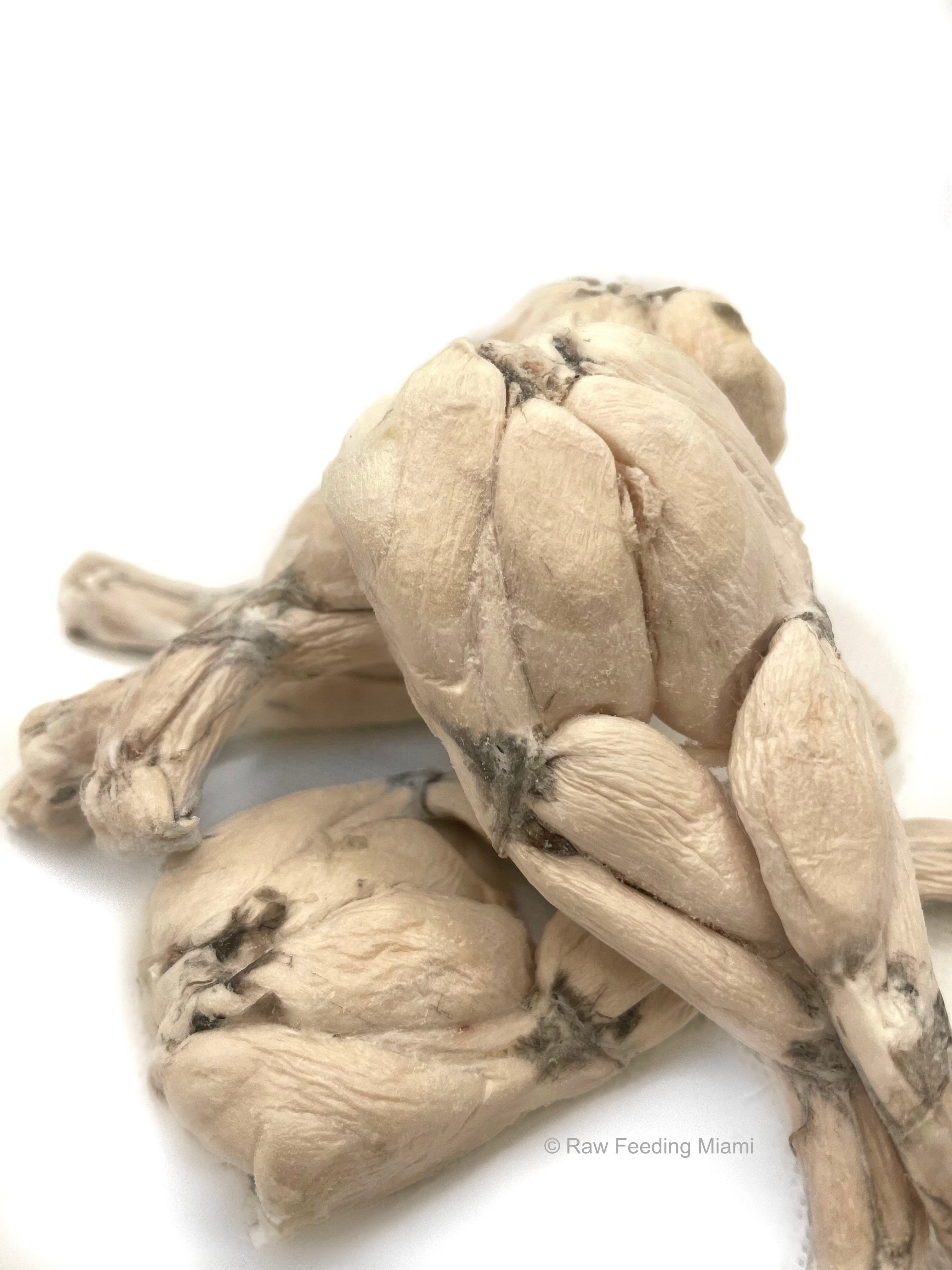 Freeze Dried Frog Legs Raw Feeding Miami