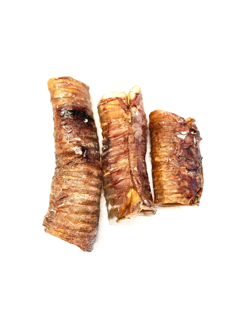 Dehydrated Beef Trachea