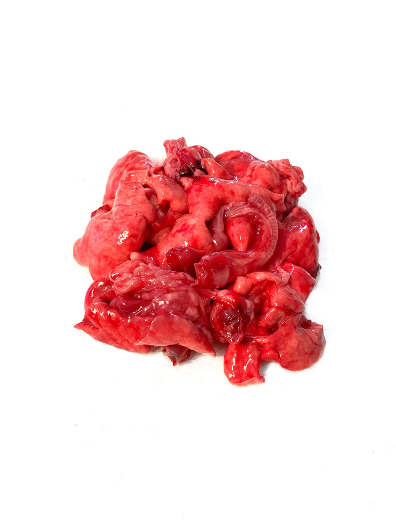 Rabbit Lungs
