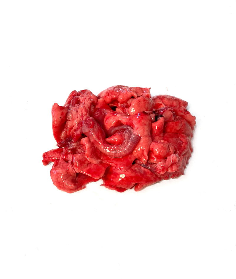 Rabbit Lungs