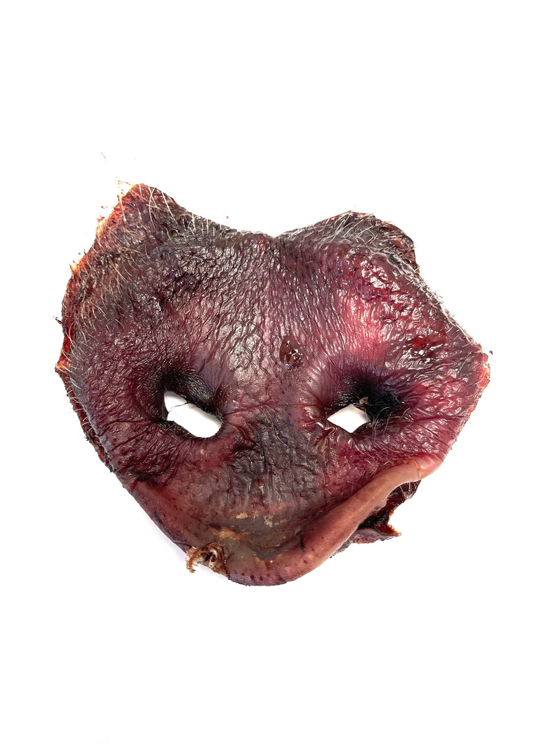 Dehydrated Pork Snout