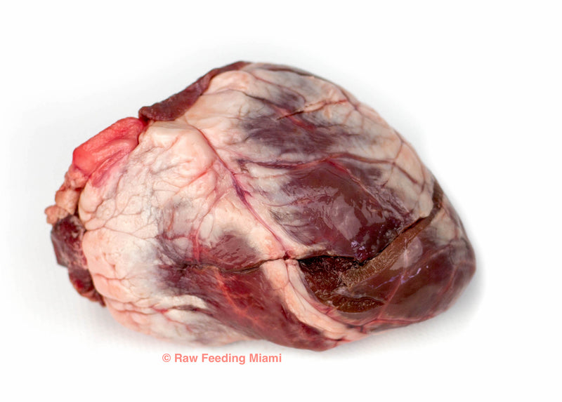 raw feeding miami, Lamb Heart