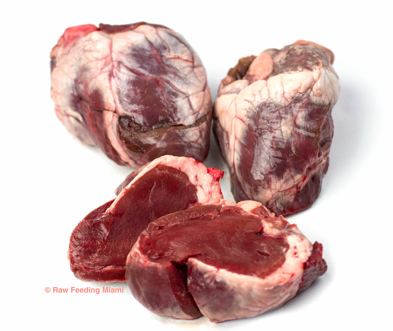 raw feeding miami, Lamb Heart