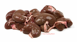 raw feeding miami, Lamb Kidney