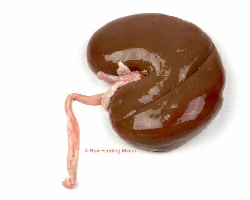 raw feeding miami, Lamb Kidney