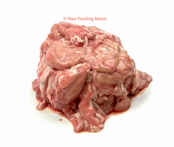 raw feeding miami, Lamb Brains