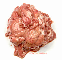 raw feeding miami, Lamb Brains