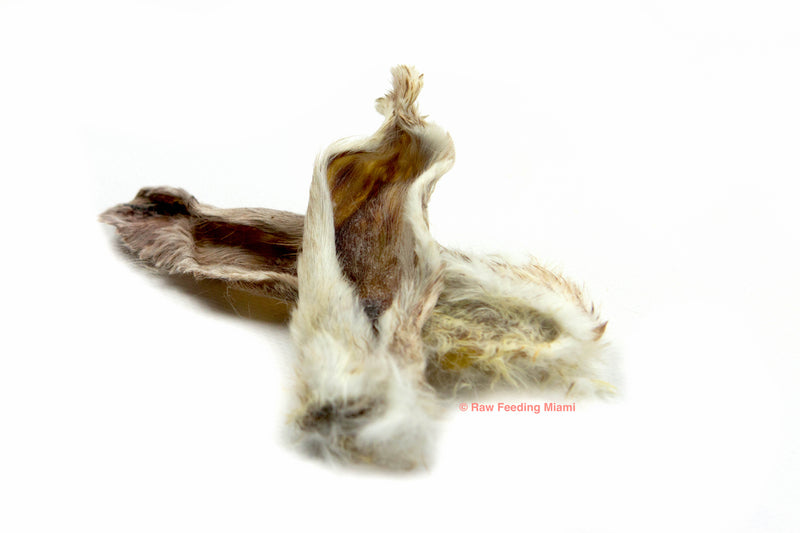 raw feeding miami, Dehydrated Rabbit Feet, rabbit Ears