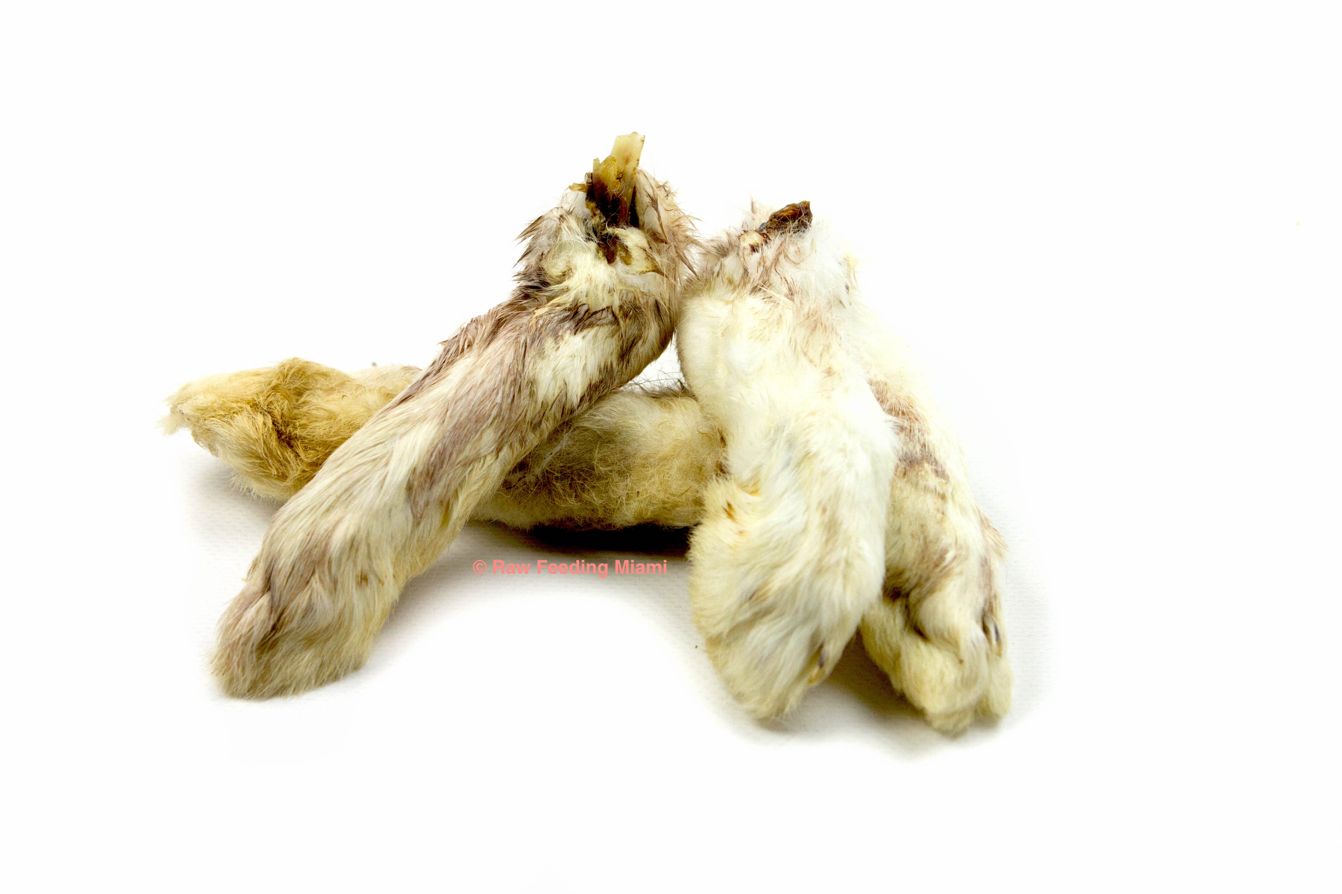 Dehydrated Rabbit Feet & Ears – Raw Feeding Miami