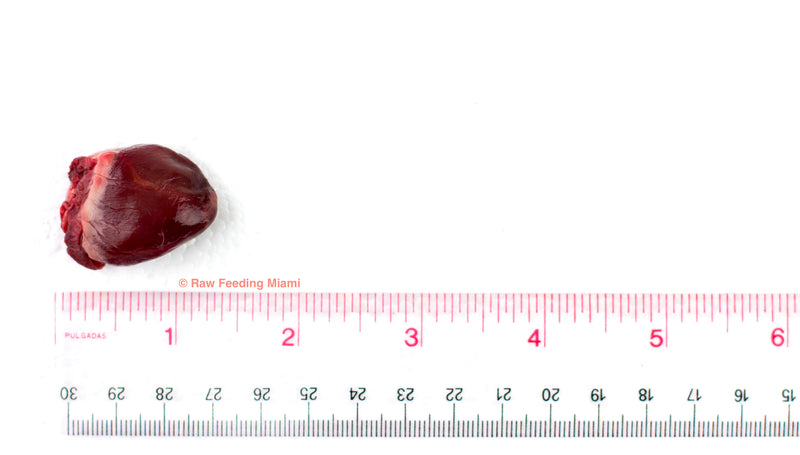 Real Rabbit Heart Rabbit Hearts – Raw Feeding Miami