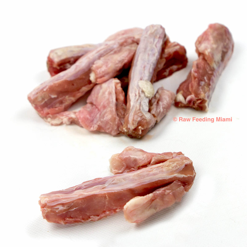 Rabbit Bones