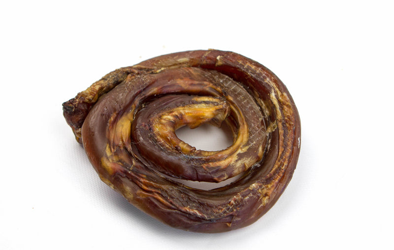 Dehydrated Spiral Bullysticks