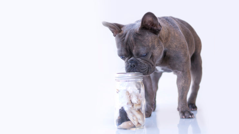 raw feeding miami, Dehydrated Rabbit Feet, rabbit Ears