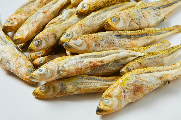 Freeze Dried Minnows