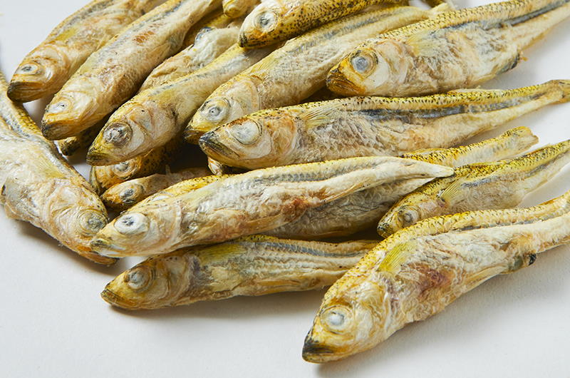 Freeze Dried Minnows – Raw Feeding Miami