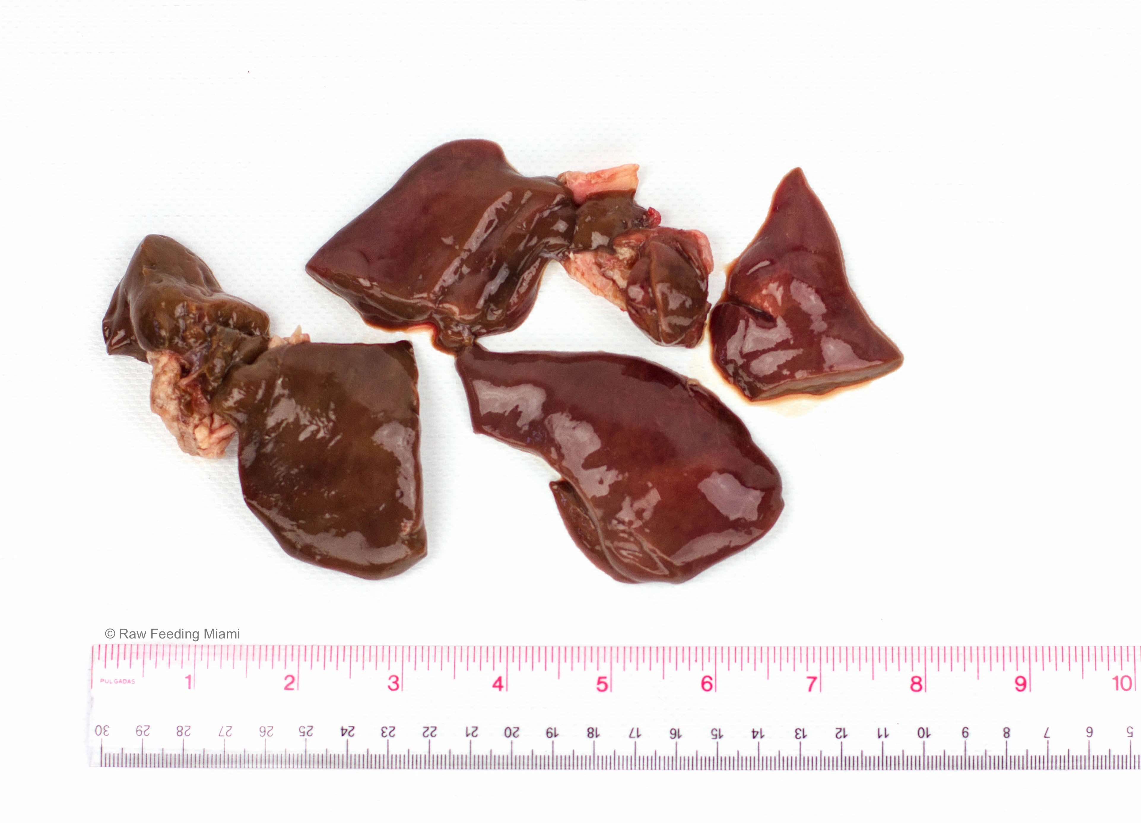 What Does A Healthy Turkey Liver Look Like? (Photos Included) - cukvzc9