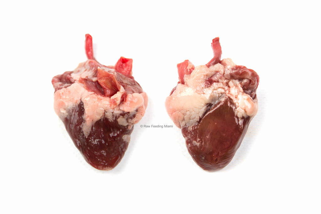 Can dogs eat raw turkey heart shop