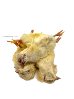 Whole Prey Chicks