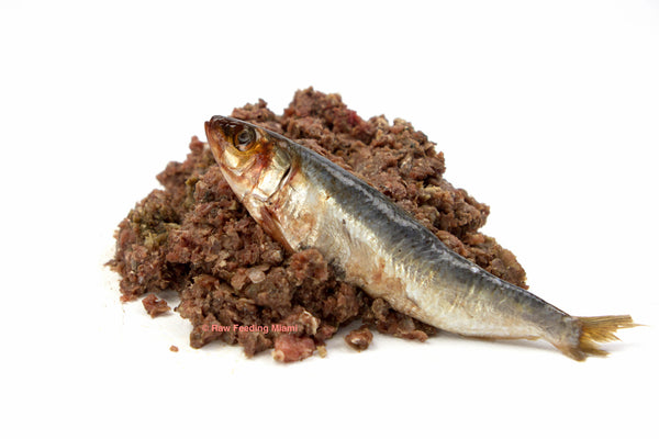 Freeze Dried Minnows – Raw Feeding Miami