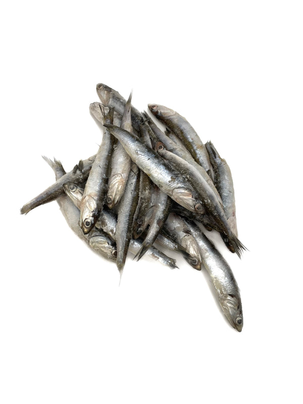 Anchovies
