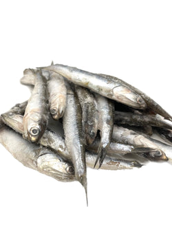 Anchovies