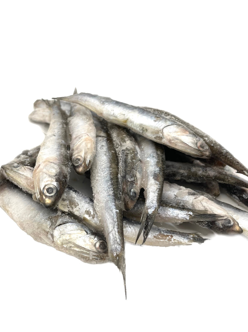 Anchovies