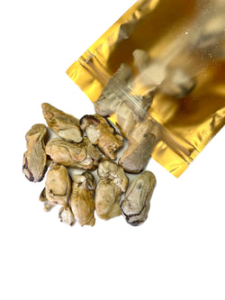 Freeze Dried Oysters