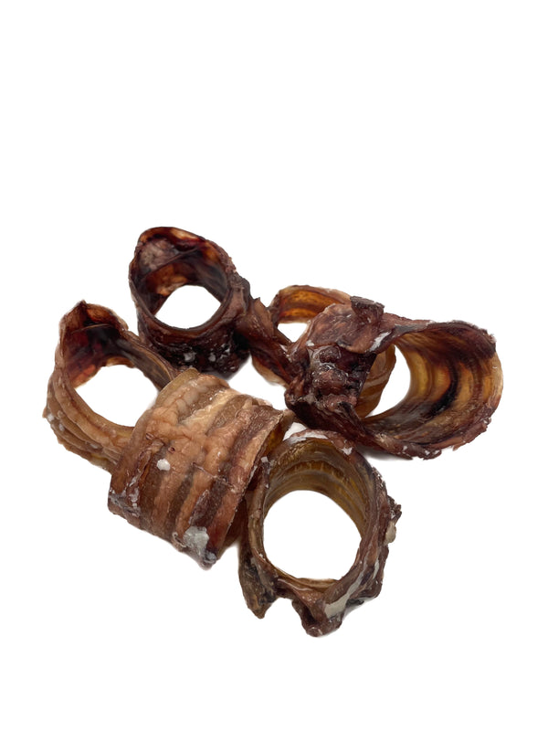 Dehydrated Trachea Chips