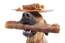 Raw Feeding Miami All-Natural Rawhide Rolls