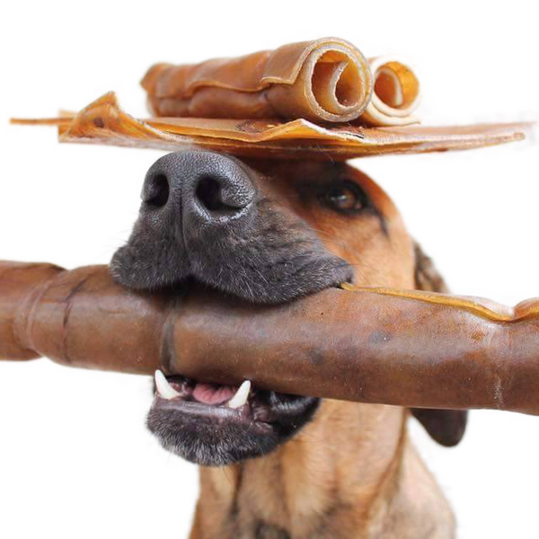 Natural rawhide discount bones for dogs